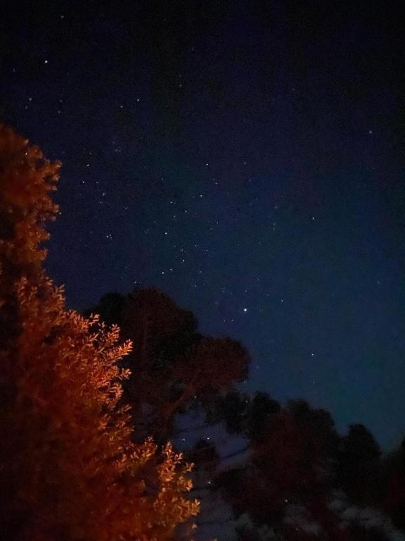Recanto Luz Da Serra Urubici Εξωτερικό φωτογραφία